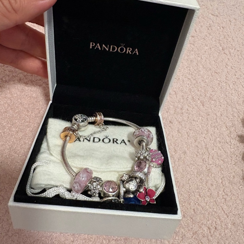 Pandora Charm Bracelet 💎 - Picture 4 of 6